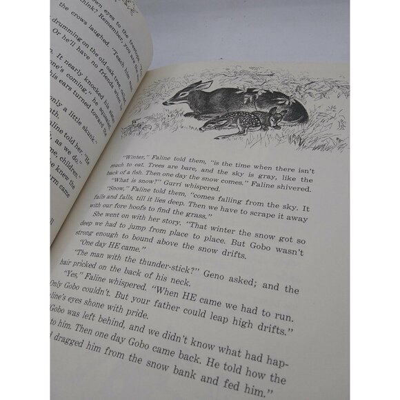 Vtg Dandelion Library double book Bambi's Children & Old Rosie stories HC - Picture 8 of 11